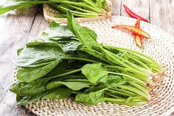 清明時節，你不知道的養生秘訣