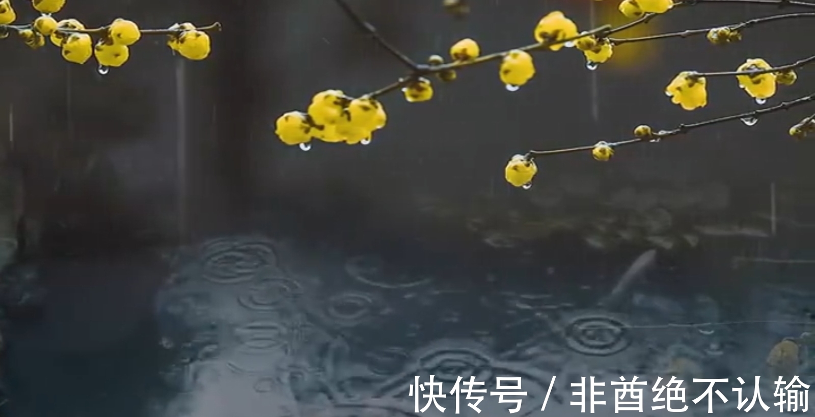 蝗灾！苏轼离任密州时恰逢除夜大雪，作五言诗一首，心系百姓、感人肺腑