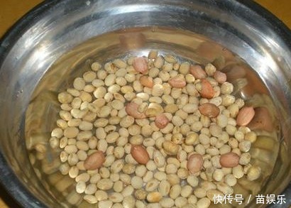 在家做豆浆，黄豆别只会用水泡！还需这一步，豆浆做好香浓不出渣