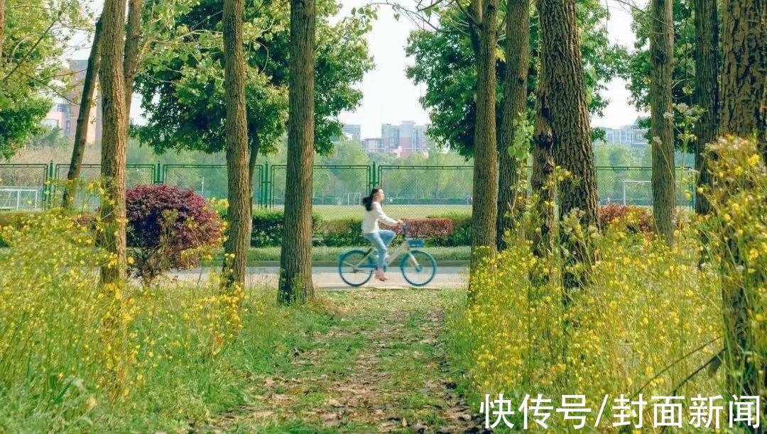 四川农业大学|封面研学｜待到春暖花开 瞰遍四川高校