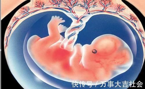 氧气|怀孕八个月胎儿发生“胎停育”,是脐带扭转惹的祸,孕妈要重视