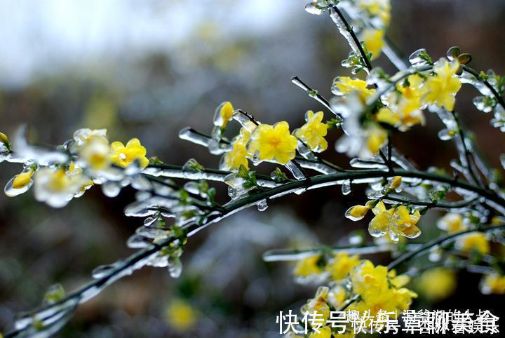 属相兔属兔|“傻人有傻福”的三个生肖女,乐于助人不计得失,晚年健康长寿