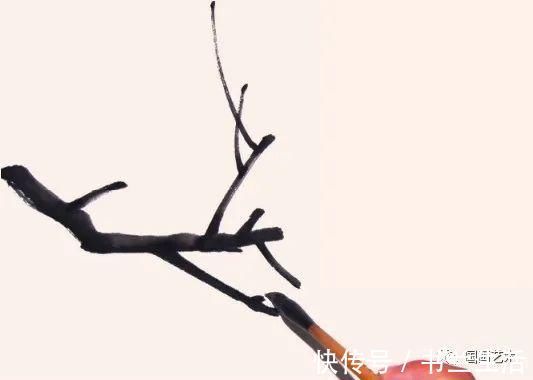 垂枝!图文教程:轻松学画写意木本花卉枝干