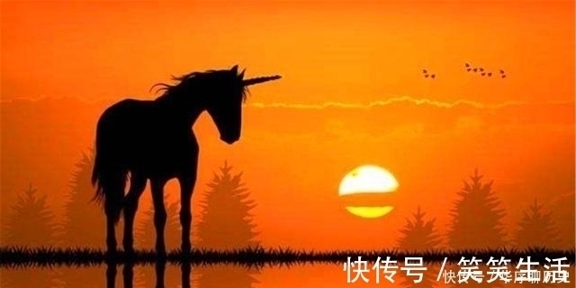 锦囊@方是做人脊梁,圆是处世锦囊:悟透这三句话,帮你混得风生水起