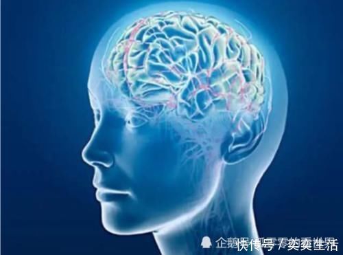 科学家发现计算机要40分钟，而人类只需一秒就能完成任务