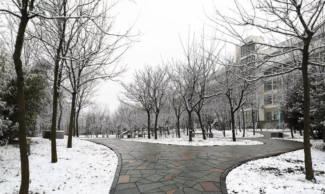  寒冷日甚，顺问冬安|今日大雪 | 大雪