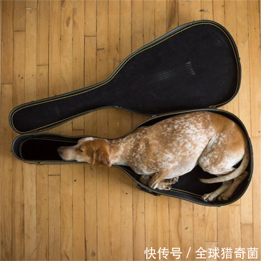 摄影|35张“活久见”的完美图片,强迫症瞬间被治愈了