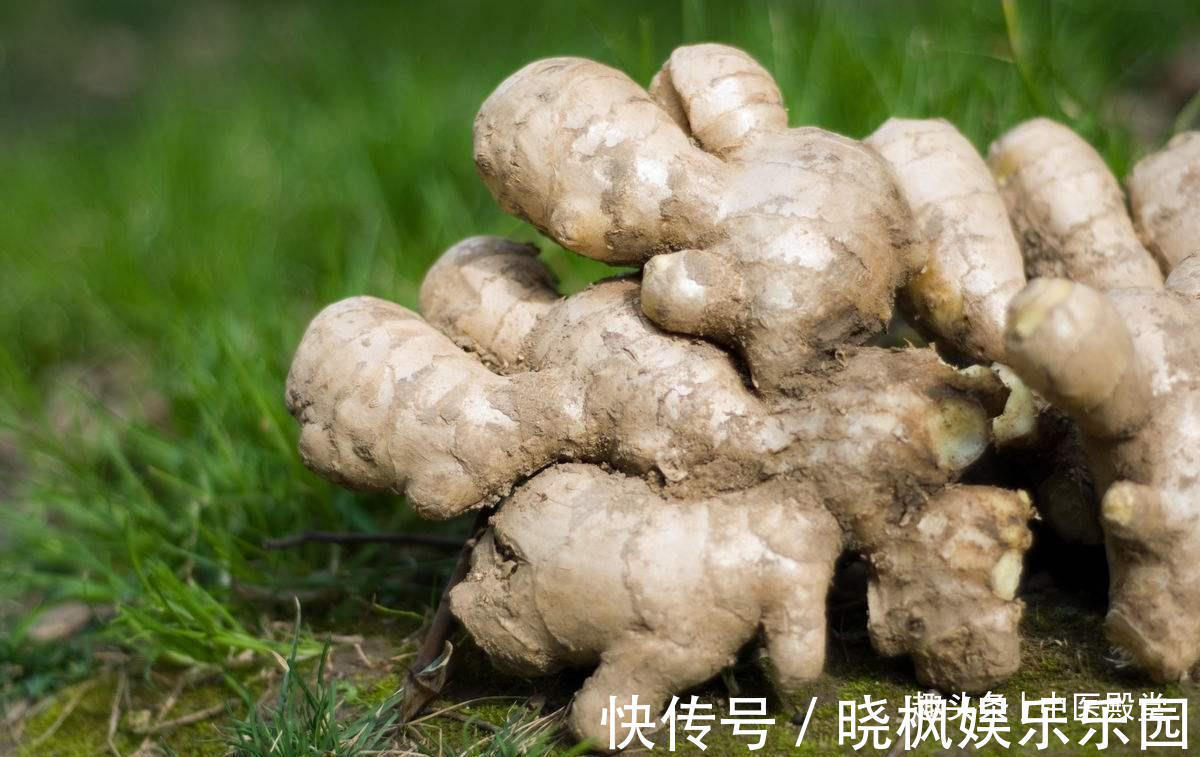 良药|7种常见厨房调料,竟是养生良药!学会用,防病治病,疾病都赶跑