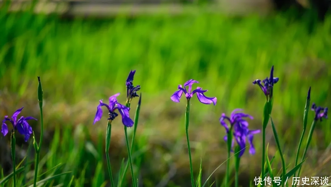 热海|腾冲很美！春有百花、夏有凉风、秋有浪漫、冬有暖阳