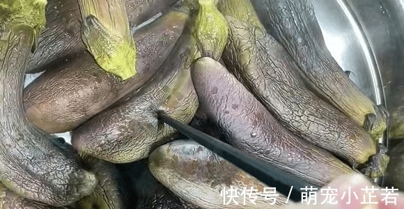 这食材正当季，不晒也不腌，蒸一蒸存到冰箱，冬季炒肉炖汤真美味