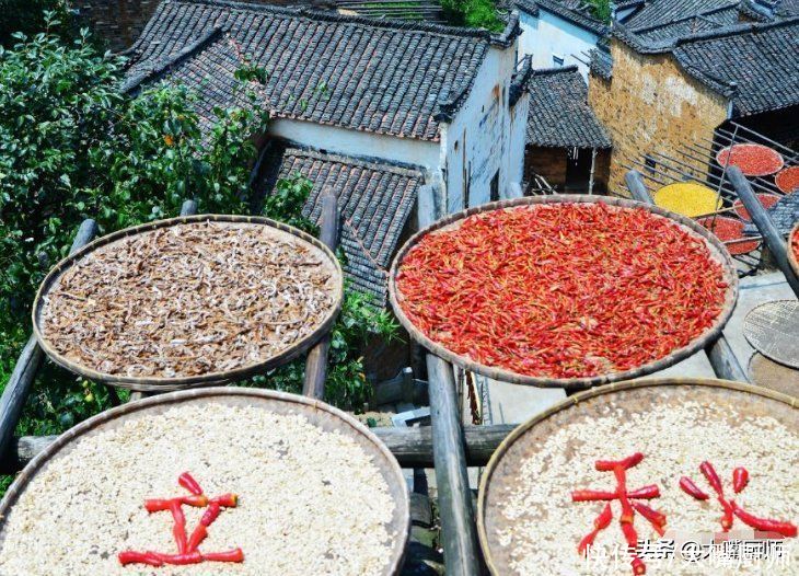 蔬菜|是时候“晒秋”了，6种便宜蔬菜晒干，放1年不坏，冬天炖肉特别香