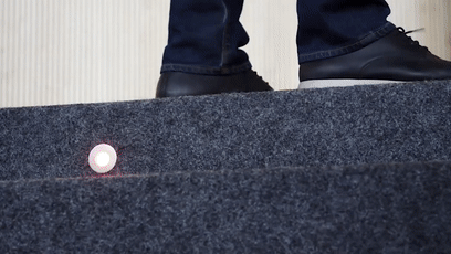 |潜艇里杀蟑螂、人类猫语十级，今年的搞笑诺贝尔奖来了