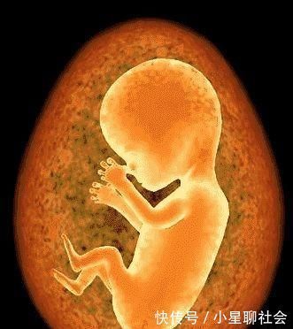 胎儿|怀孕4个月正常的肚子应该是什么样的呢?