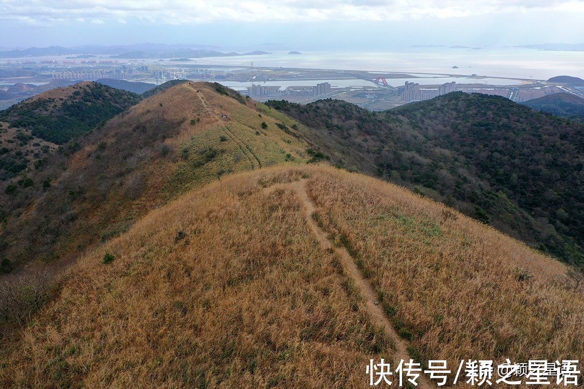 东盘山|福泉山漫山芦花消失，幸好还有东盘山，宁波唯一的高山草甸风光