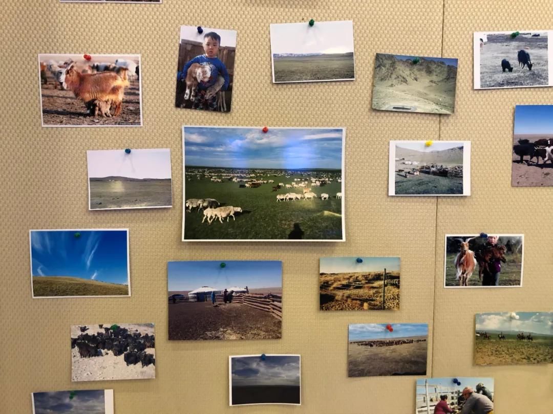  山羊|还在冲 Burberry？它才是更有“性价比”的羊绒围巾