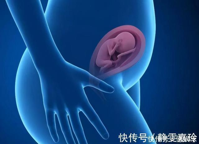 排畸|“胎儿畸形”危险期:过了这个月份,孕妈就可以把心放肚子里了