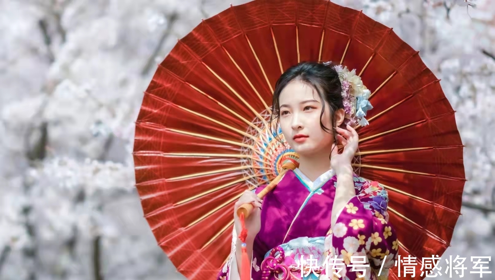 犬豚!七言格律:春飞玉宇空来鹤,酒兴山川乱卷云