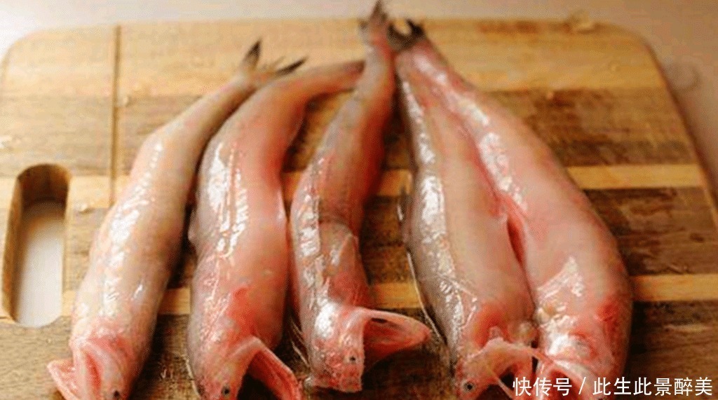 鱼肉|这6种海鱼既便宜又好吃,海鲜摊主看来是吃鱼的行家!