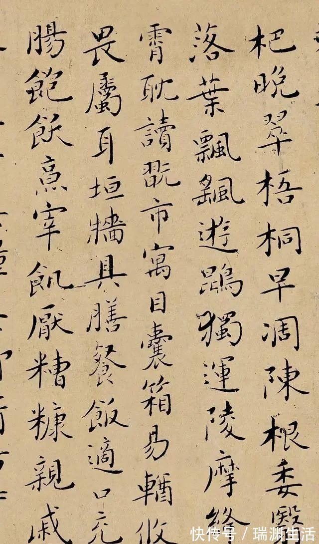 书法&他是20世纪的书法奇才,小楷练了80年,启功见了他都要鞠躬!