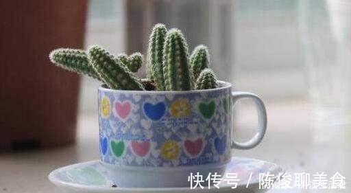 漂亮|这些破烂不要扔，做成“小花盆”，个性又漂亮，比买的强“百倍”！