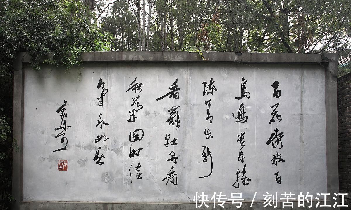 郭沫若&全才郭沫若,很少研究书法,却堪称巨匠,靠的仅是“才气”吗