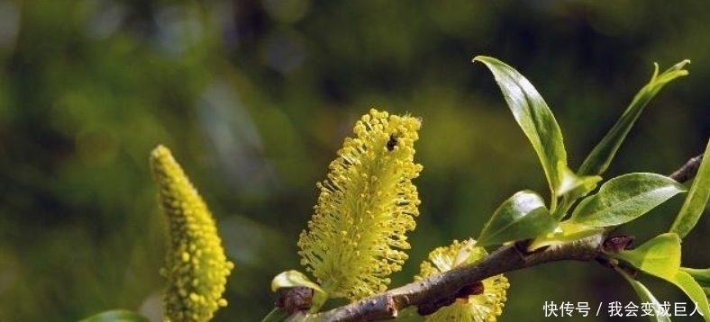 送别|无名氏写下一首送别诗,对唐诗产生了巨大的影响,很多人都引用过