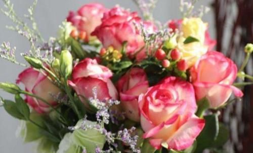  长寿花|4种花一养就爆盆，开花超级多，养护容易，对待新手很友好