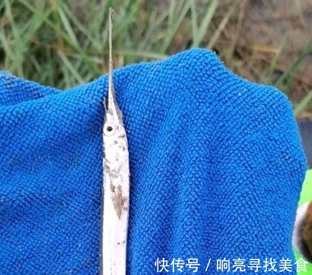 河流|在当地的河流里钓到很多疑似小剑鱼,一钓一大盆钓友疑问能吃吗!