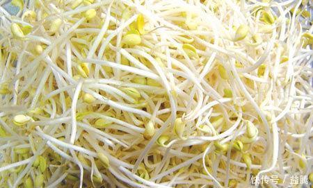 适合冬季多吃的蔬菜，个个营养充足！