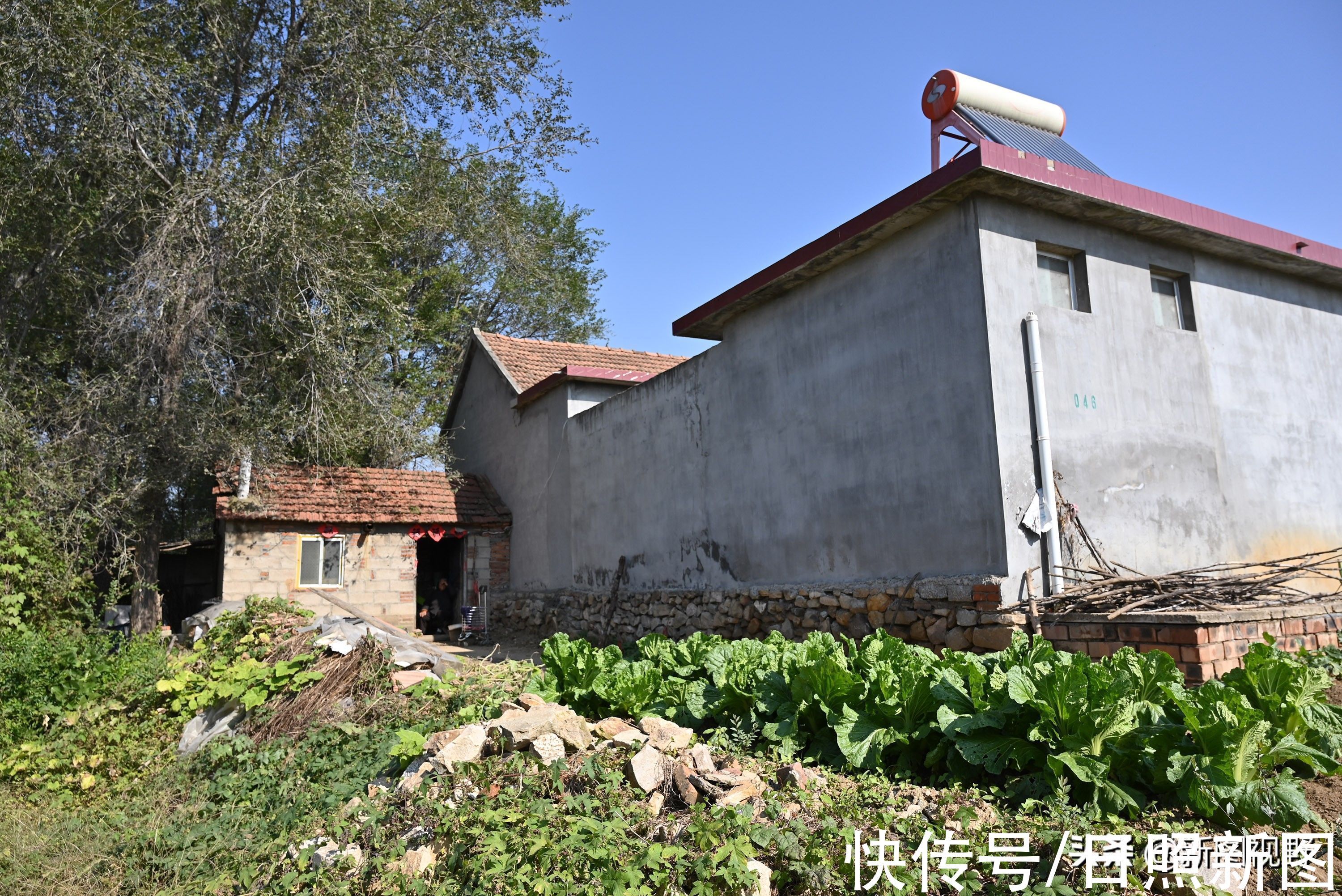 长寿|100岁奶奶,饭前习惯特殊,至今满头黑发,看长寿秘诀是啥