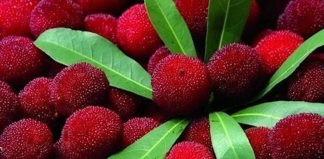 营养|这3种水果，含大量寄生虫，为了孩子身体好，再营养也别给孩子吃