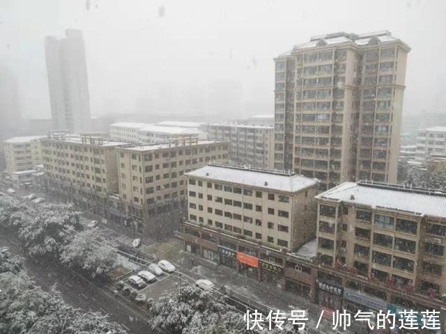 雪景|惊艳！平凉迎来入秋第一场雪，刷爆朋友圈！