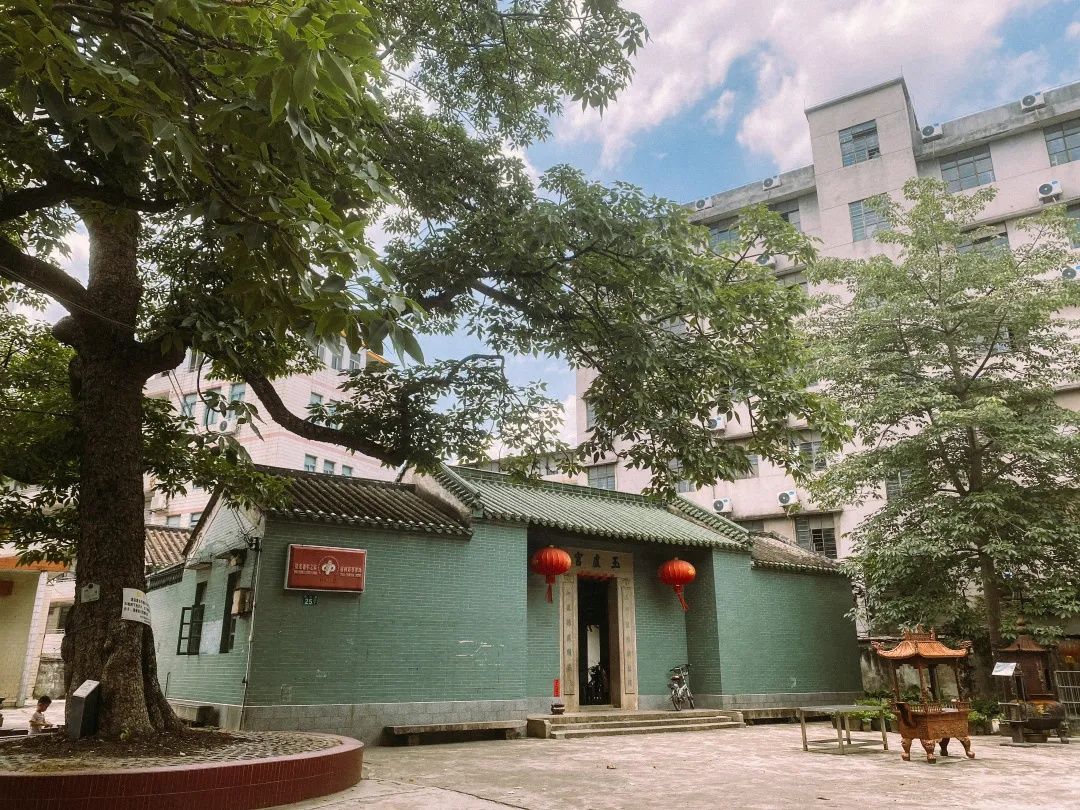 吉山村|富力旧改下的魅力新羊城，寻找那些即将消失的村落