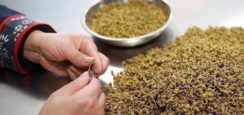 抑制幽门螺杆菌|胃炎怎么办忌2物，喝2茶，做2事，养胃护胃，抑制幽门螺杆菌