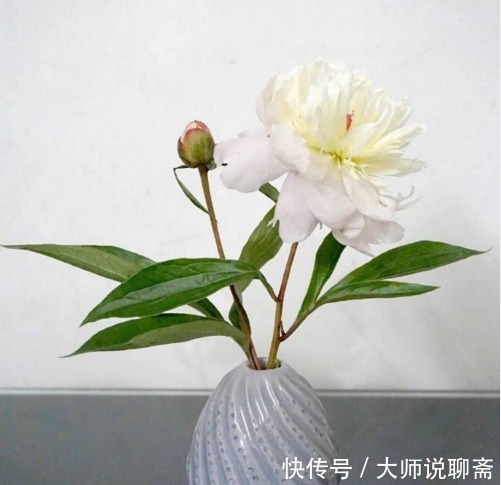 一段话|受益终生的一段话,见解独到,引人深思!