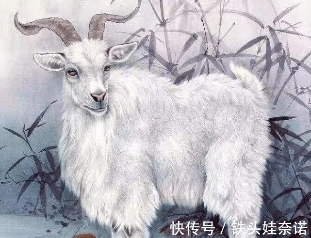 生活质量|十二生肖中,下周起有好运附身,贵人指点,收获大财幸福的生肖