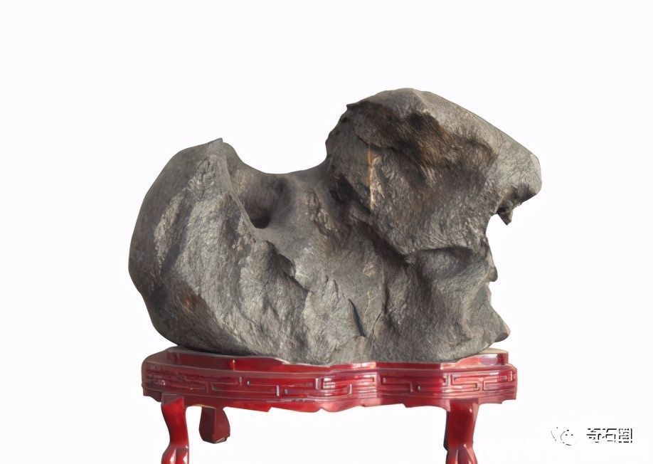  石头|这家医院选了四块石头作为“院石”