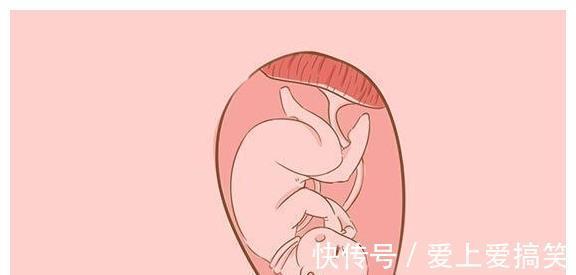 孕妈|28周是孕期的一道坎,孕妈们不能大意,如何才能平稳度过?