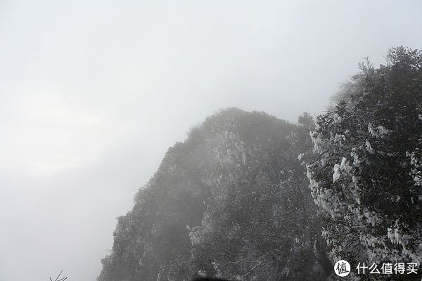 金佛山|夏日忆雪---重庆南川金佛山赏雪记