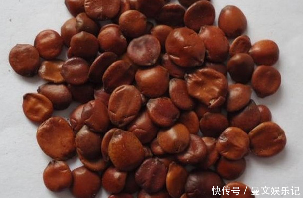 娇妍|半夜醒来睡不着可能这里生病了,吃“东方圣果”,补肝血睡得香