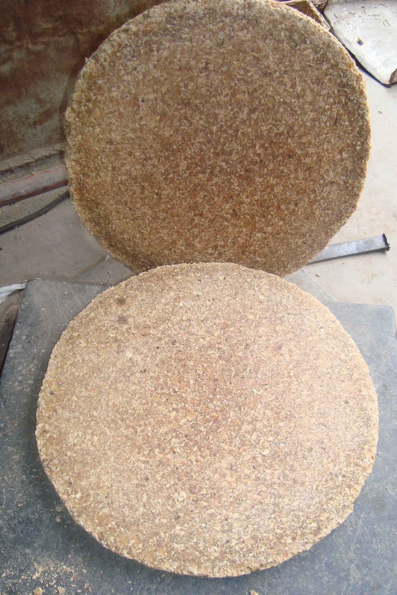 养金钱树、虎皮兰“抓重点”，每月喂点“出芽肥”，1次冒出5个芽