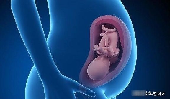 妈妈|到了晚上，感觉“胎动”频繁，是怎么回事？看完后你就知道了！