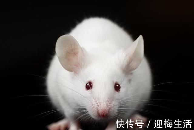 孕妈|胎儿竟会在肚子里偷偷“保护”妈妈,这些暖哭了的表现你知道吗?