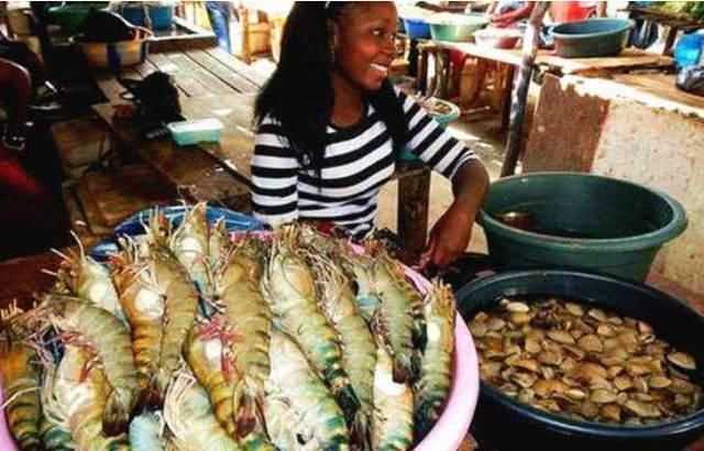 价格|非洲海鲜价格超低,为何非洲人宁愿吃土也不吃海鲜看完长见识了