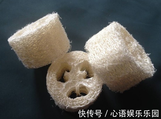 洗碗布|农村总拿它当洗碗布,却不知“功效”堪比冬虫夏草,了解一下