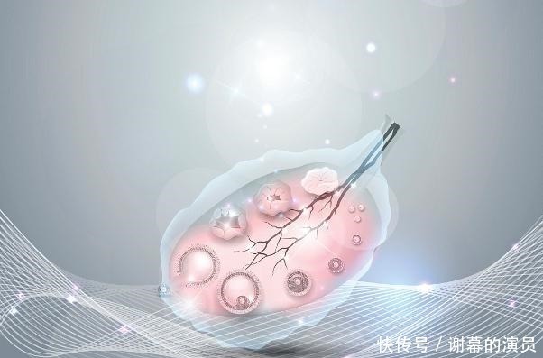 卵巢|你知道吗女人一生最佳受孕机会只有48次,错过了就没有了
