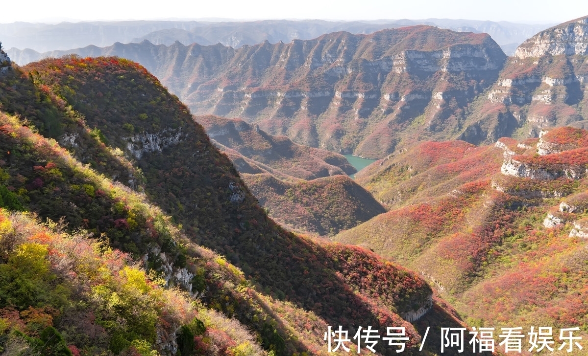 河南|全国人民免费，河南这10大景区将迎来最美红叶季，你准备好了吗？