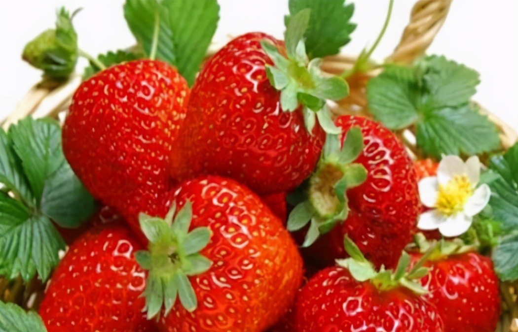 茉莉玫瑰粥|女性推荐多吃3种食物，美容养颜、抵抗衰老，早吃早好！