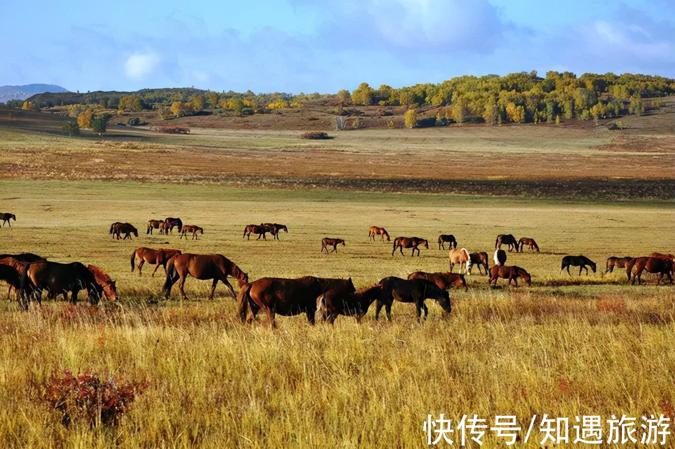 红叶|10月，国内这9个地方藏着最美的秋色，千万不能错过