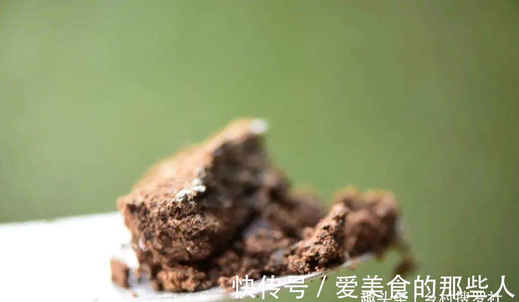 兰花茎腐病不要怕,4步操作就能养活开花,历时30个月